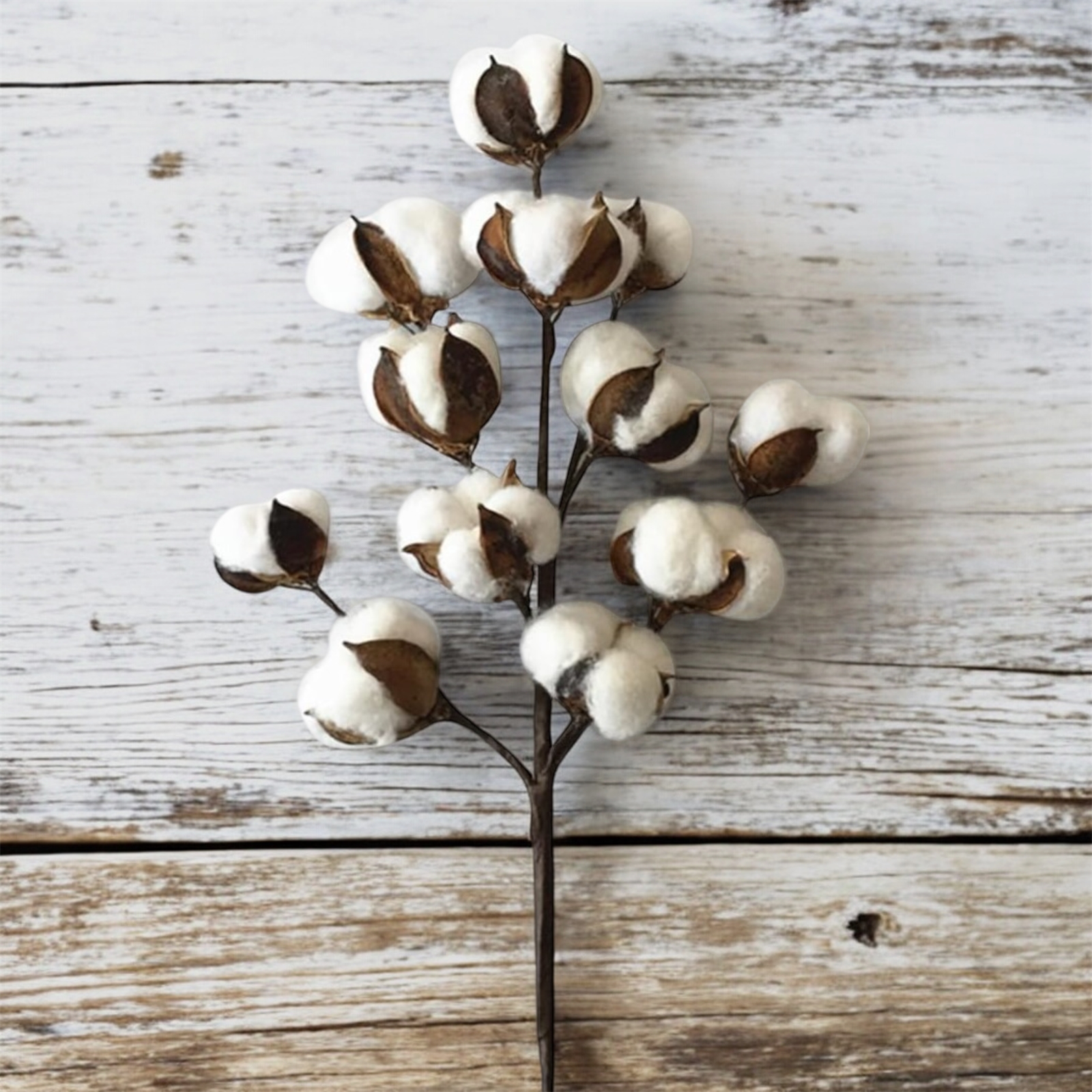 27.5 inch Cotton Spray 12p 